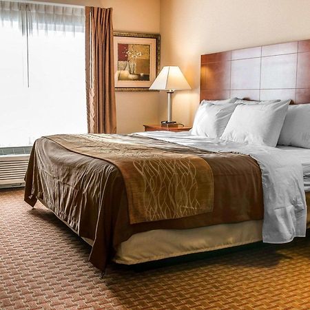 Quality Inn Near Interstate I94 ニュー・バッファロー エクステリア 写真